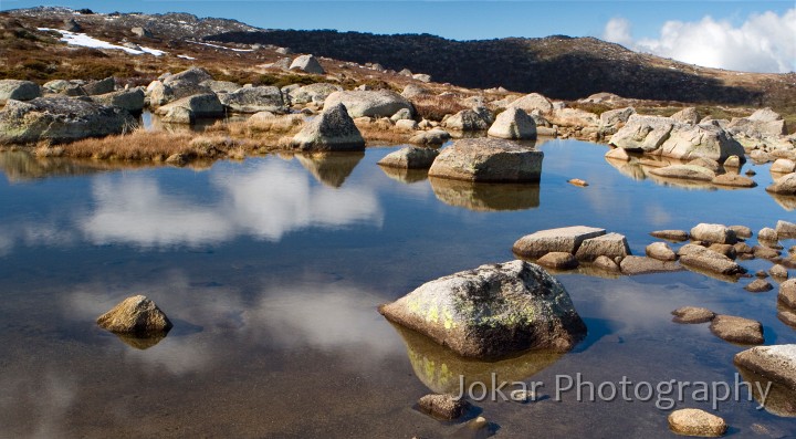 Hedley Tarn_20060528_124.jpg